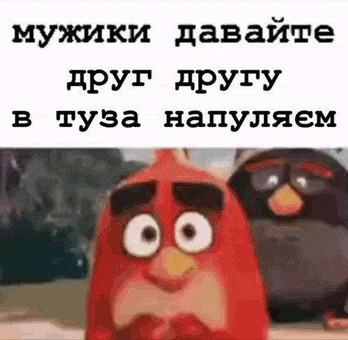 the funny